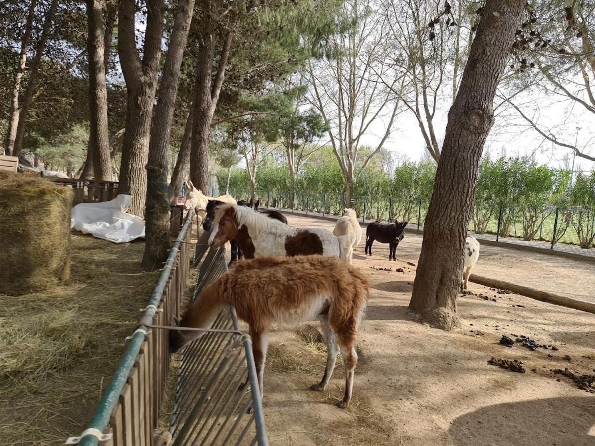 Location De Dans Maison Catalane * Bompas (Pyrenees-Orientales)